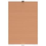 StickFit TradeChoice Blockout Terra