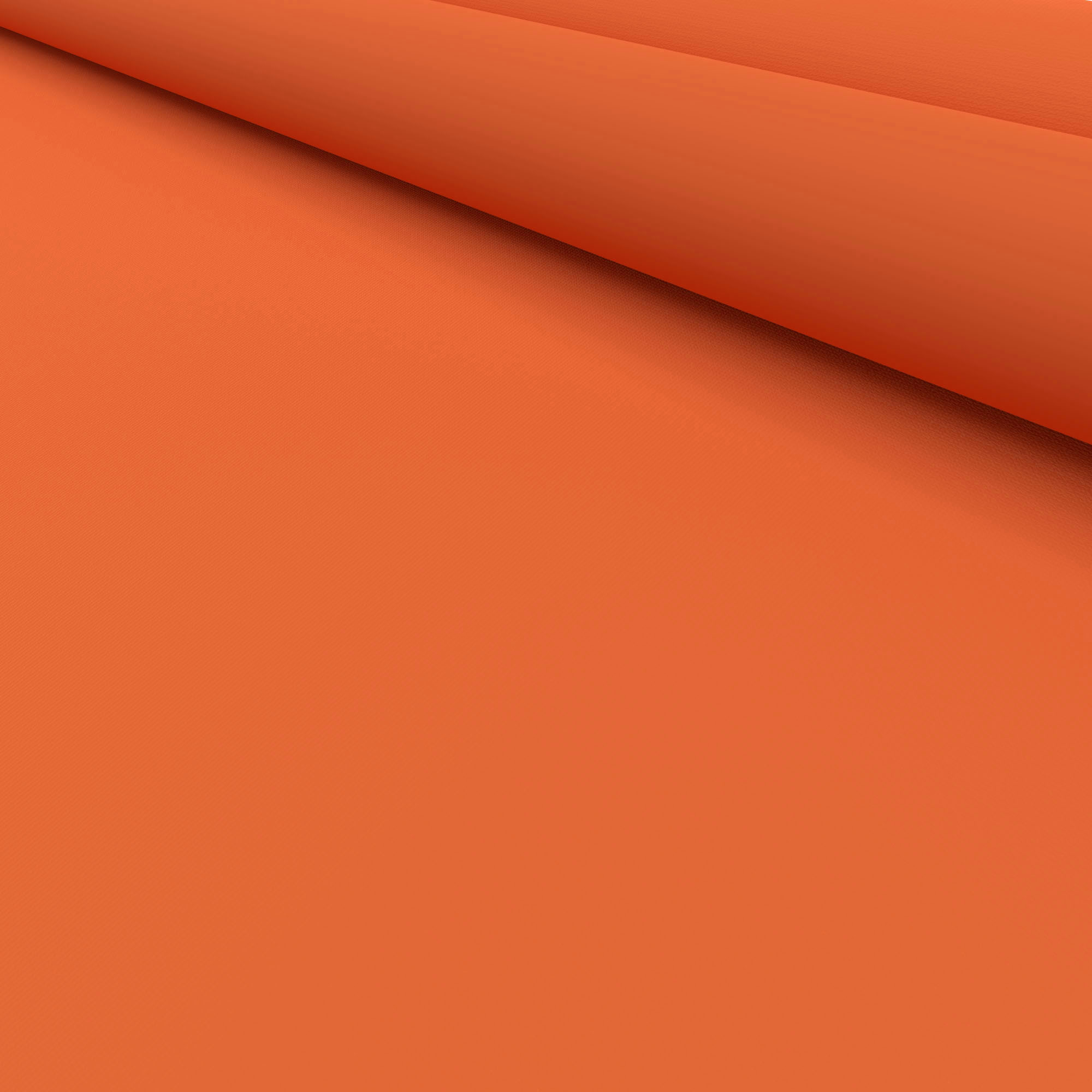 Bella Jazz - Image 5