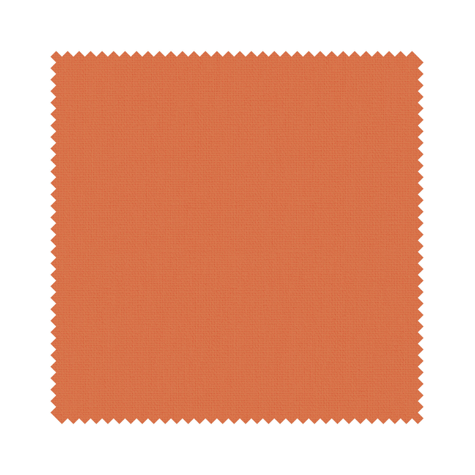 Bella Jazz - Image 6