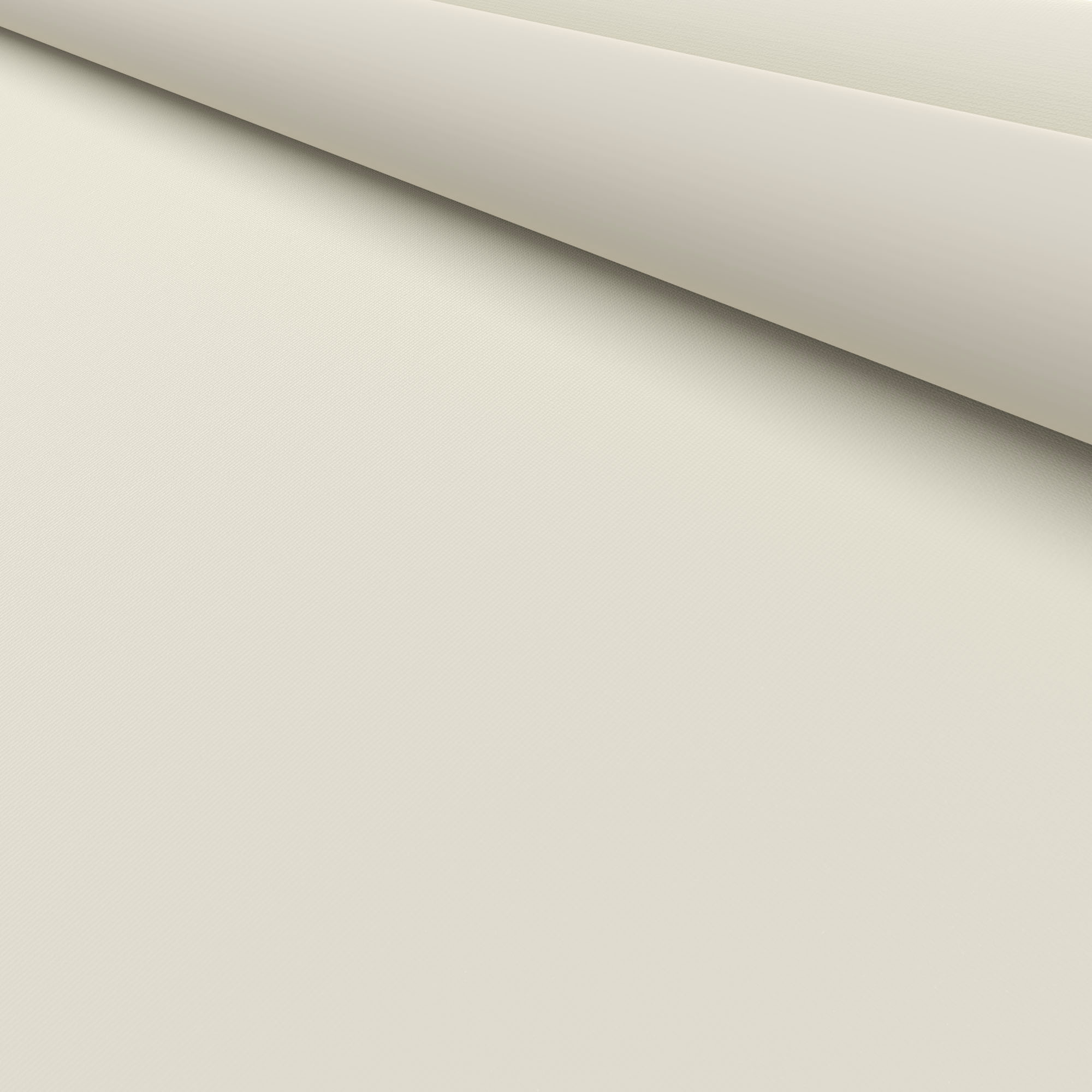 Bella Oyster - Image 5