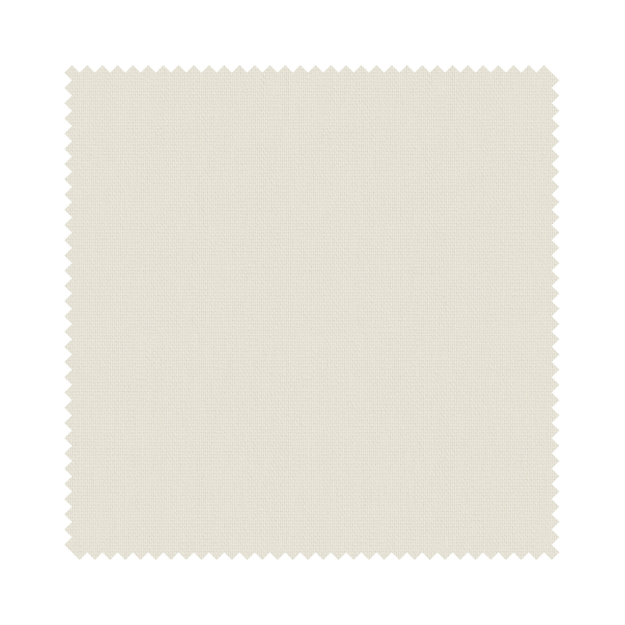 Bella Oyster - Image 6