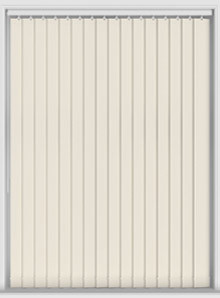 Bella Oyster - Image 7