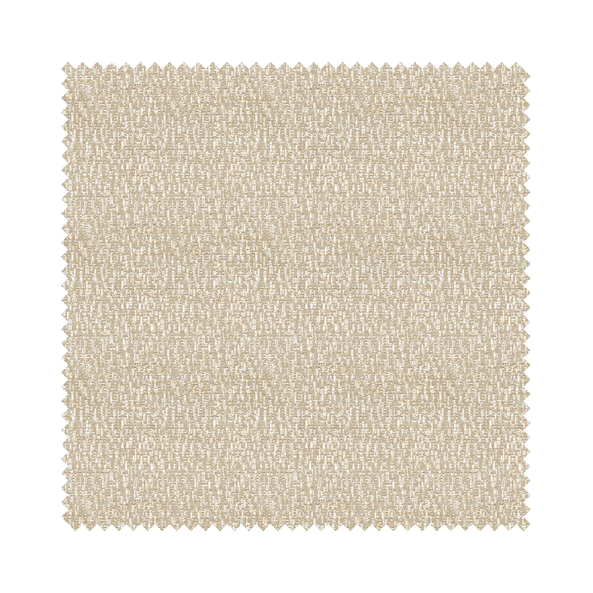 Blake Oyster - Image 5