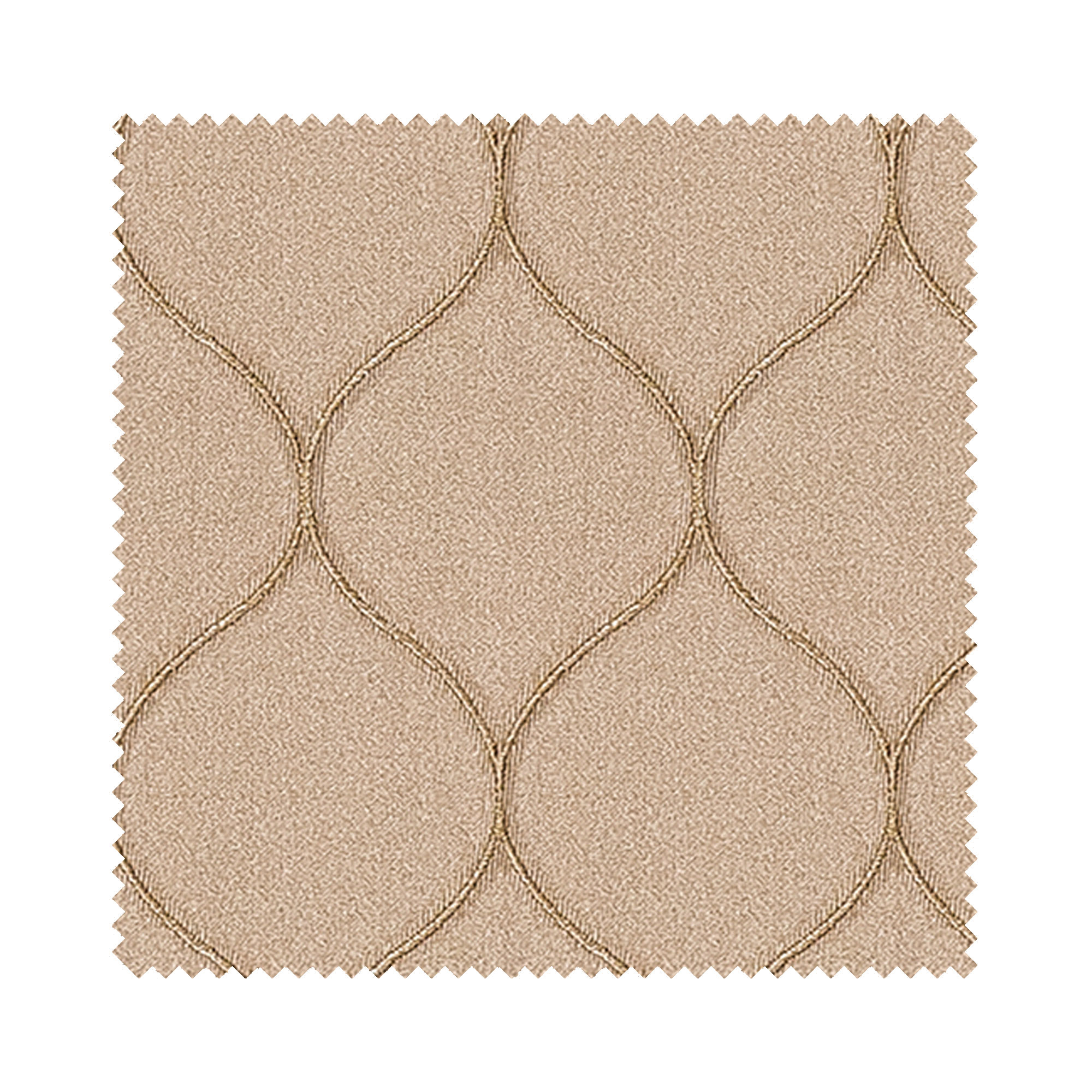 Carioca Shell - Image 8