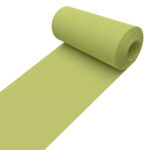 Carnival Kiwi Replacement Slats