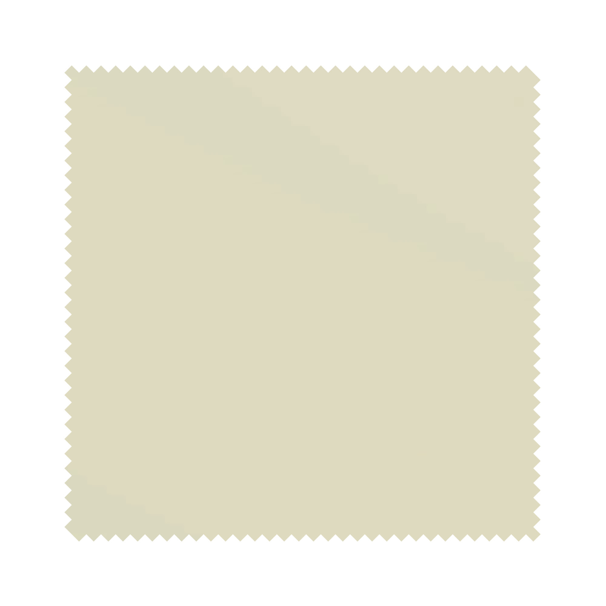 Carnival Willow - Image 6