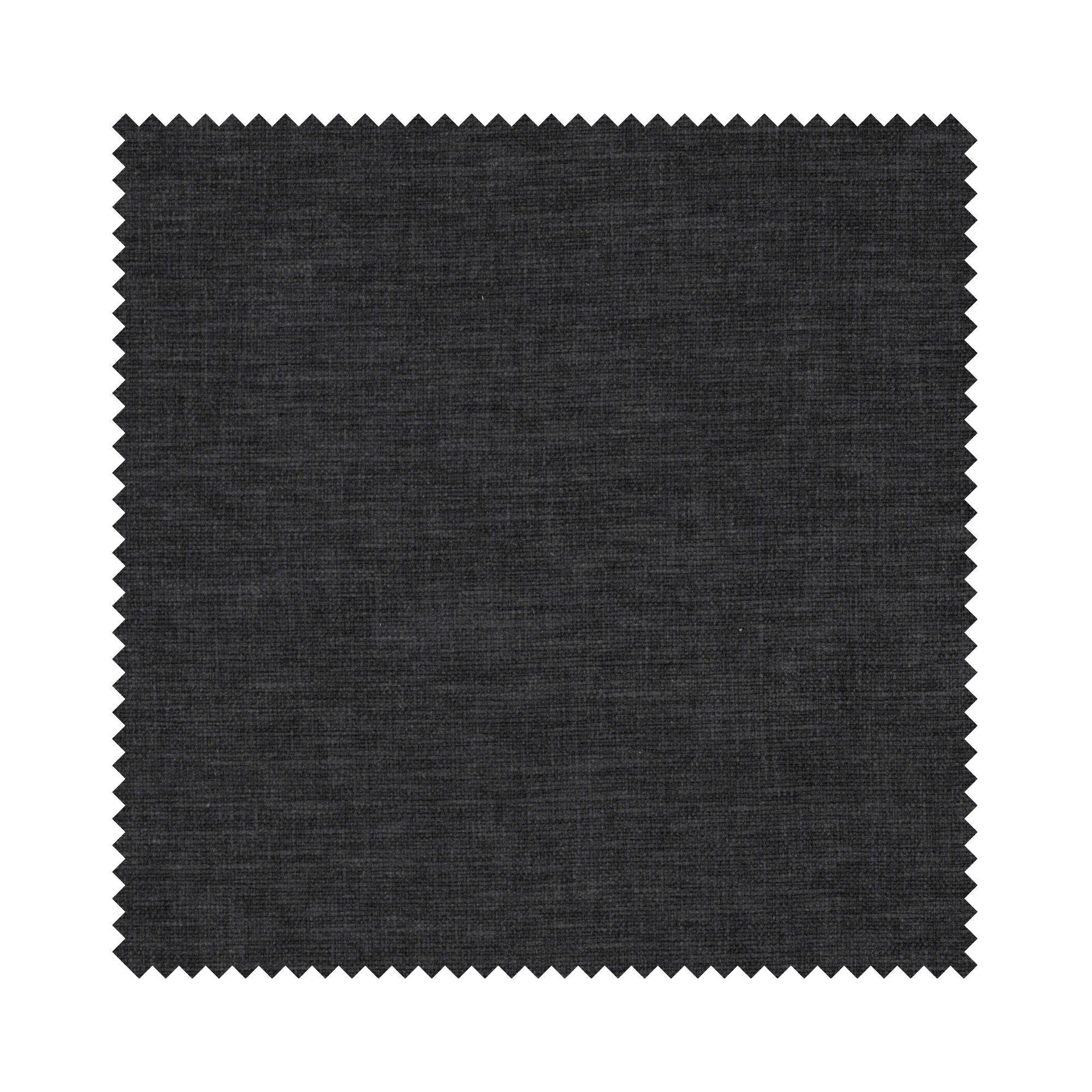 Goya Charcoal - Image 8