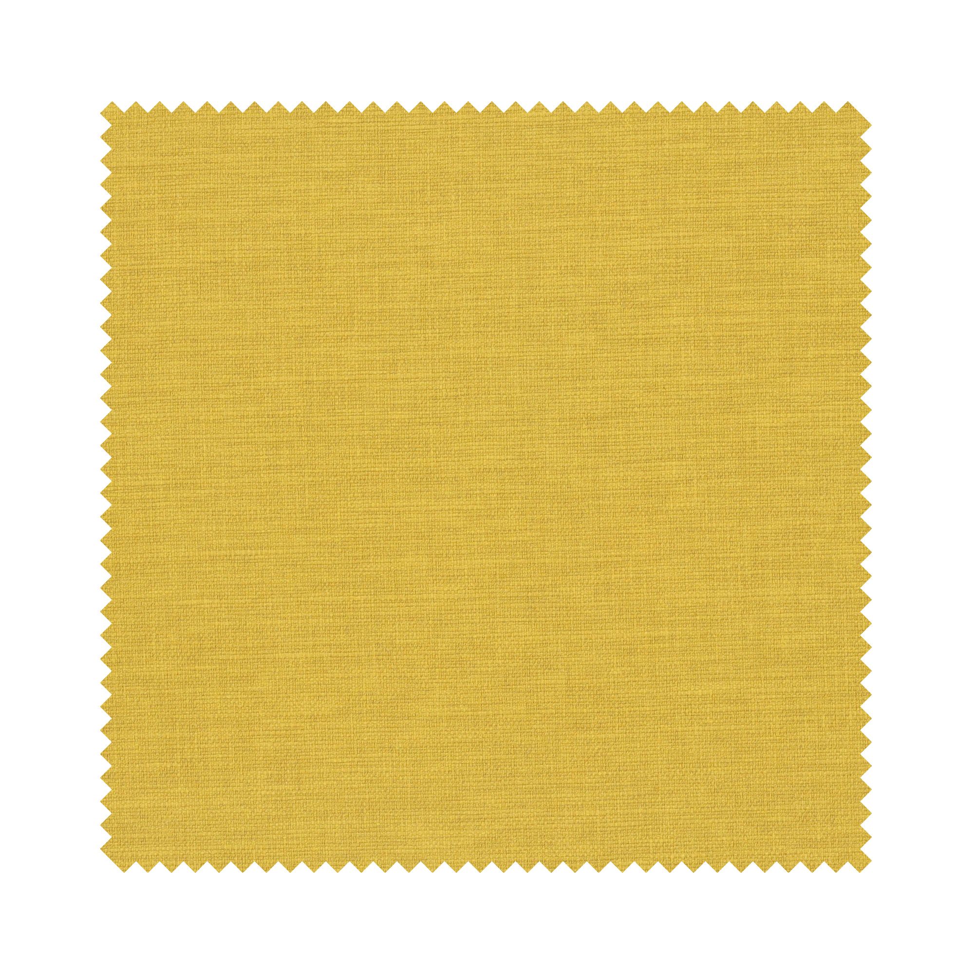 Goya Sunflower Motorised - Image 6