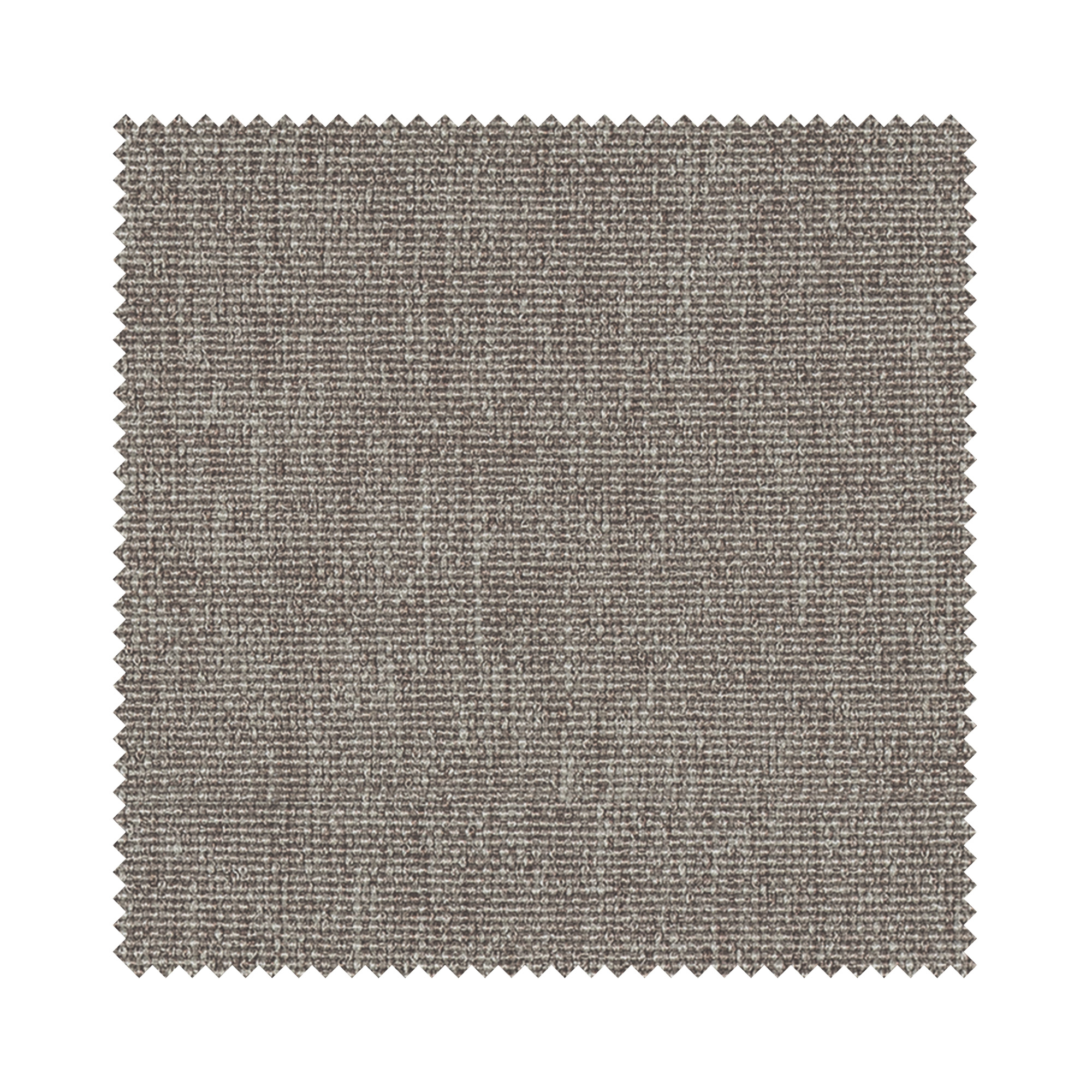 Harlow Biscuit Motorised - Image 2