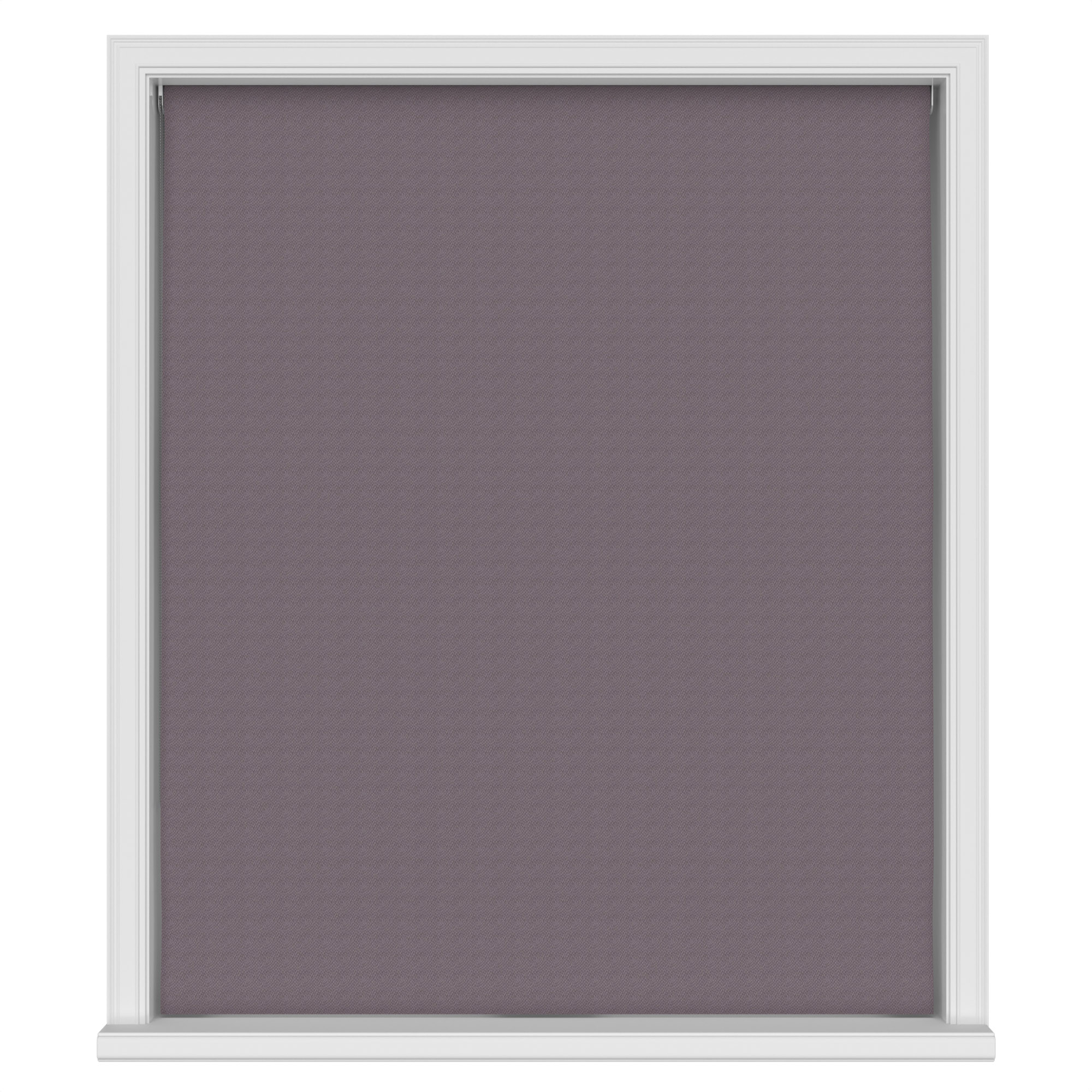 Inca Thistle - Image 4