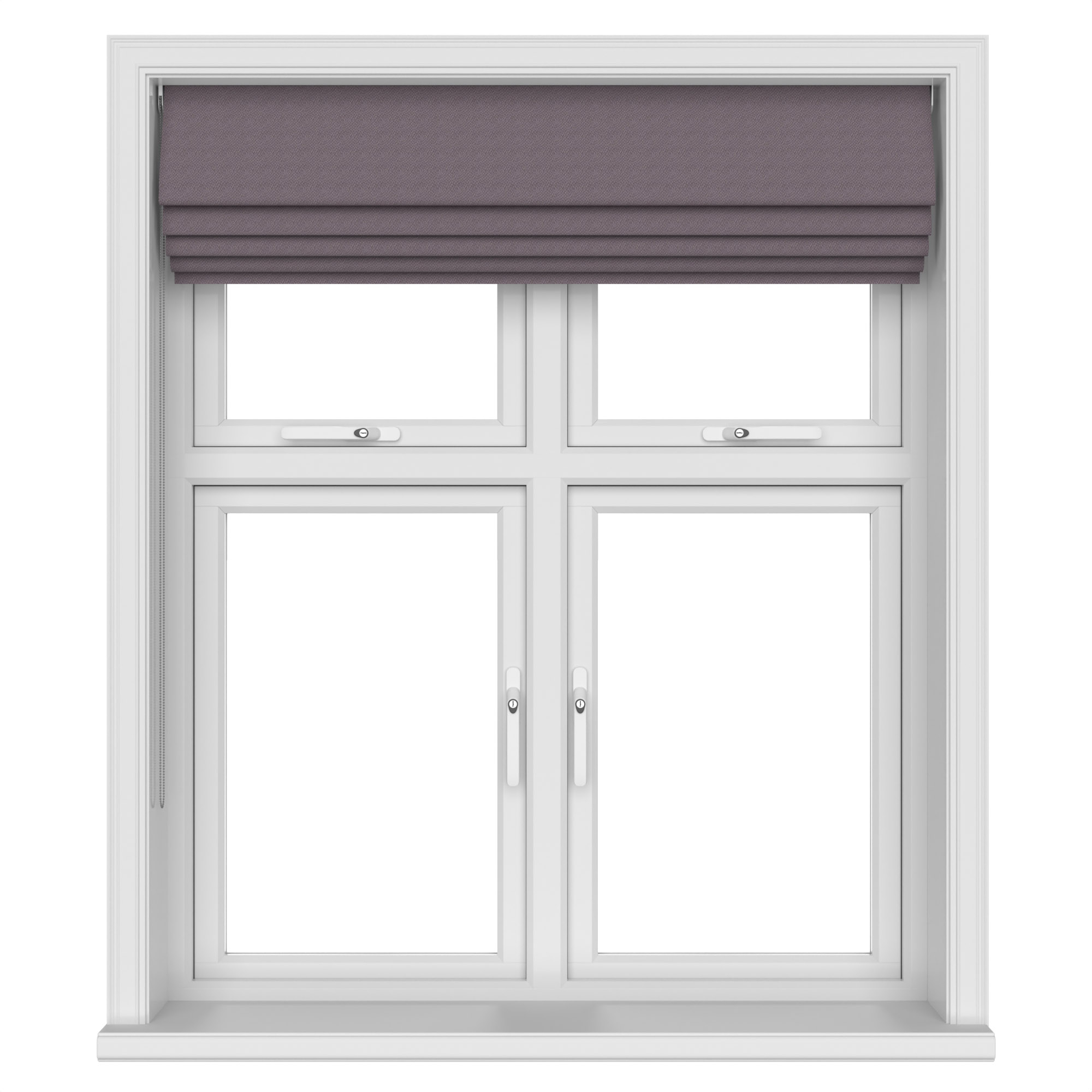 Inca Thistle - Image 7