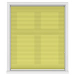 Infusion ASC Lime Green