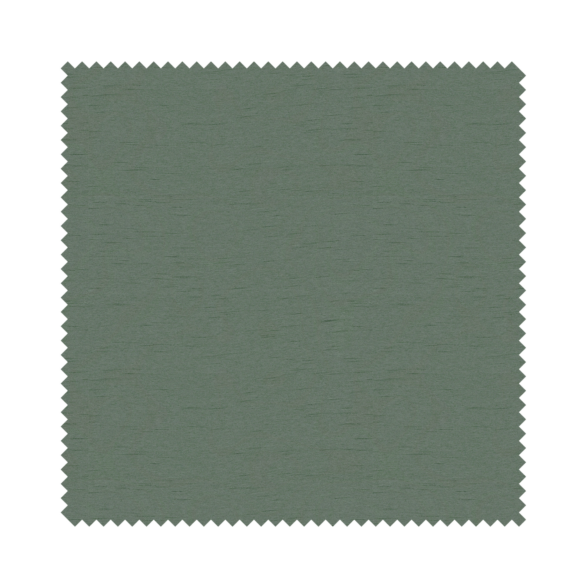 Keaton Fern - Image 5