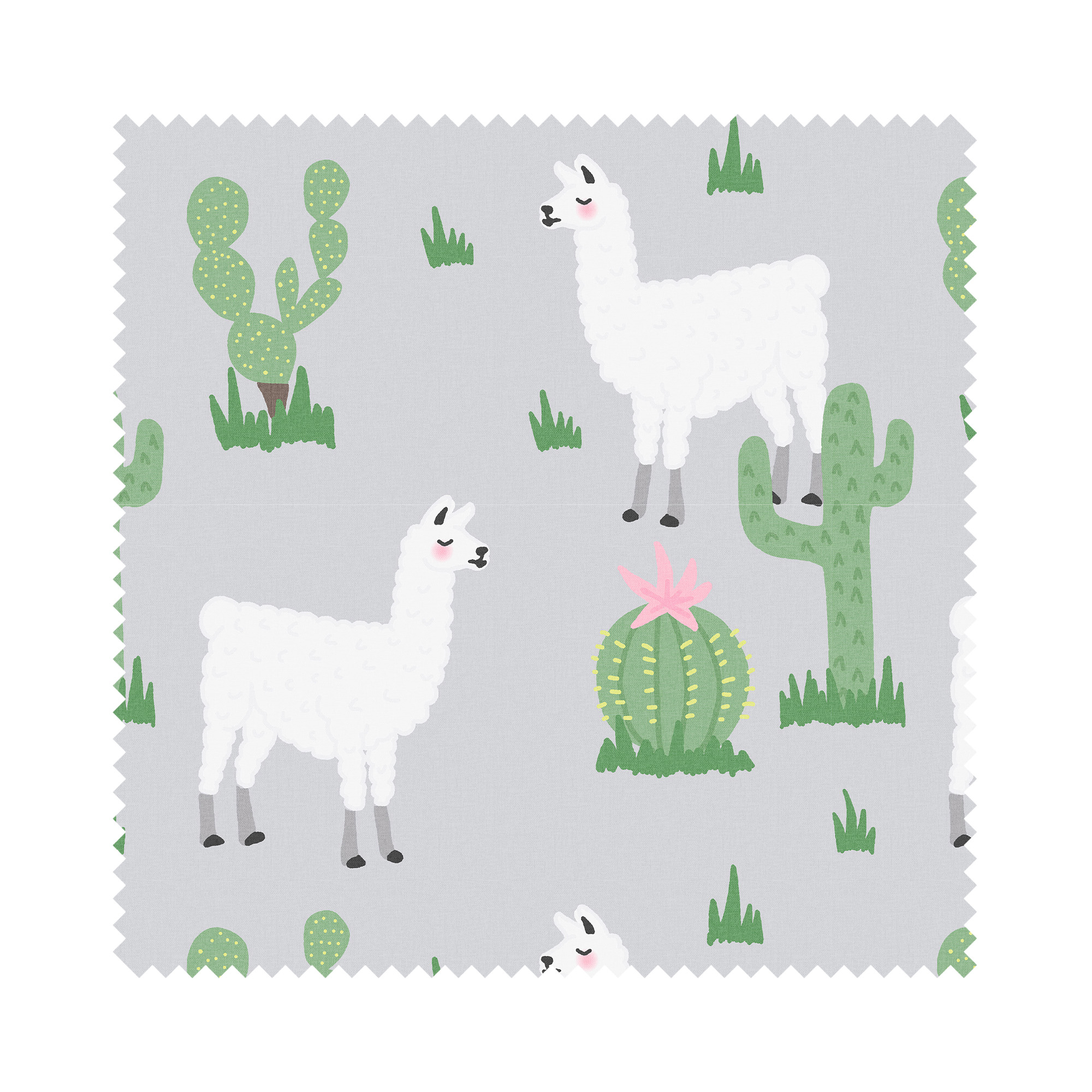 Llamas Multi - Image 5