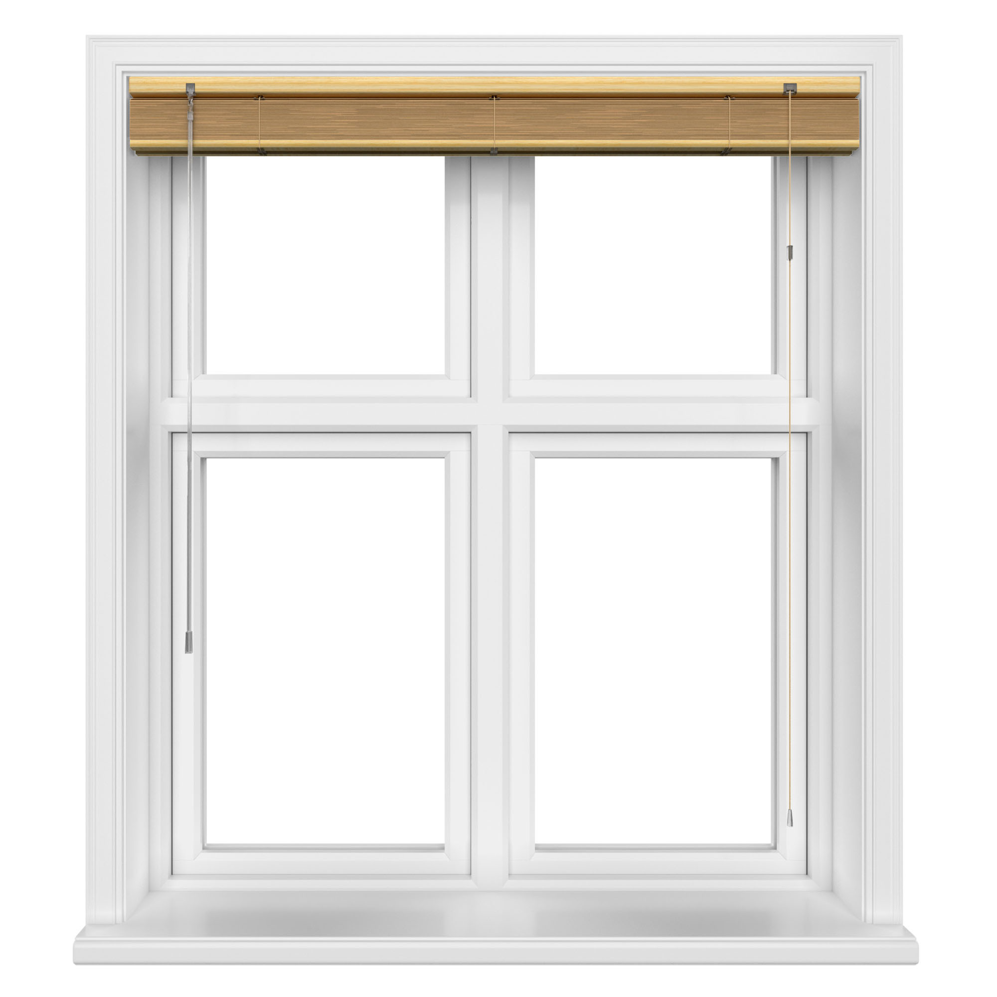 Moscow Oak - Image 4