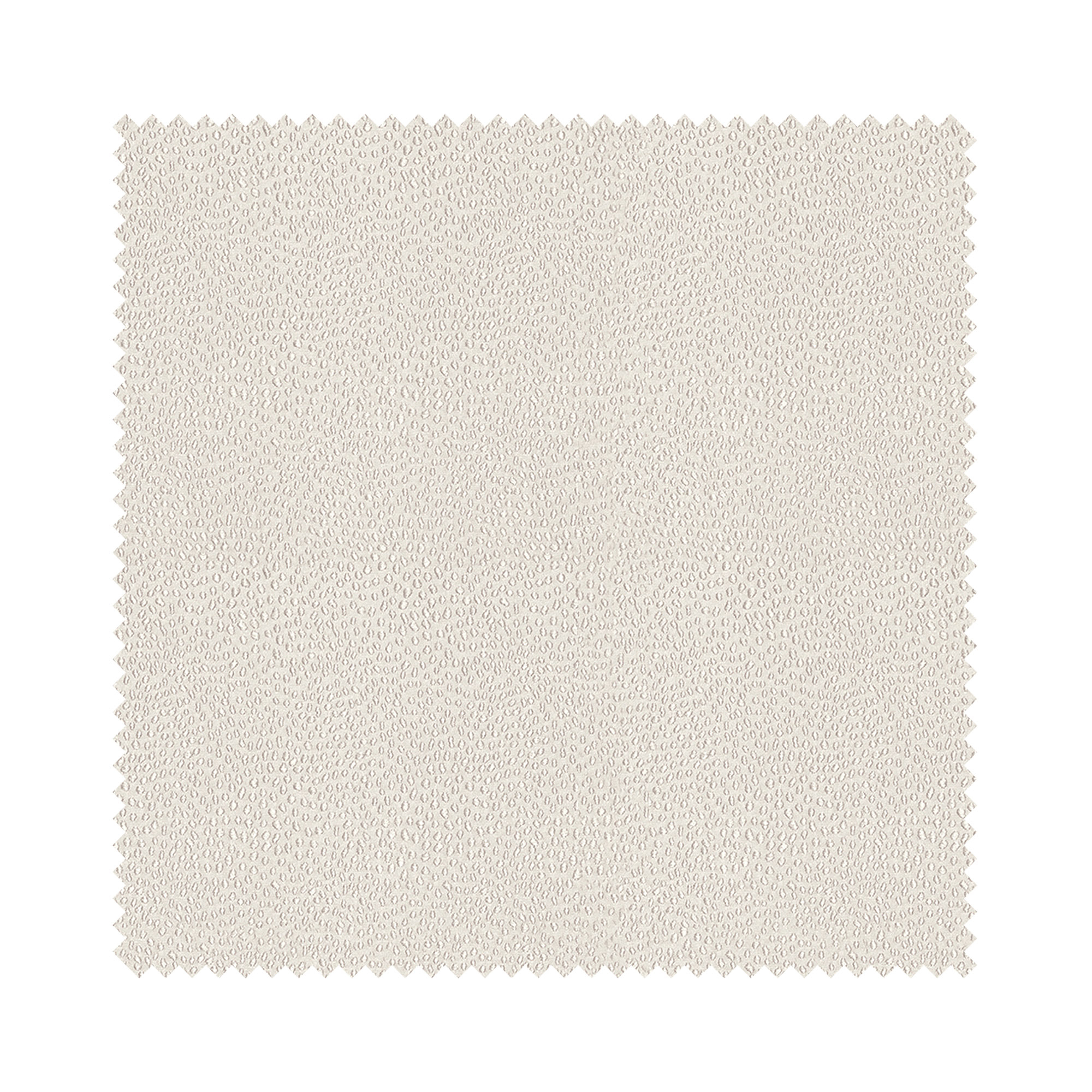 Rubens Ivory - Image 5