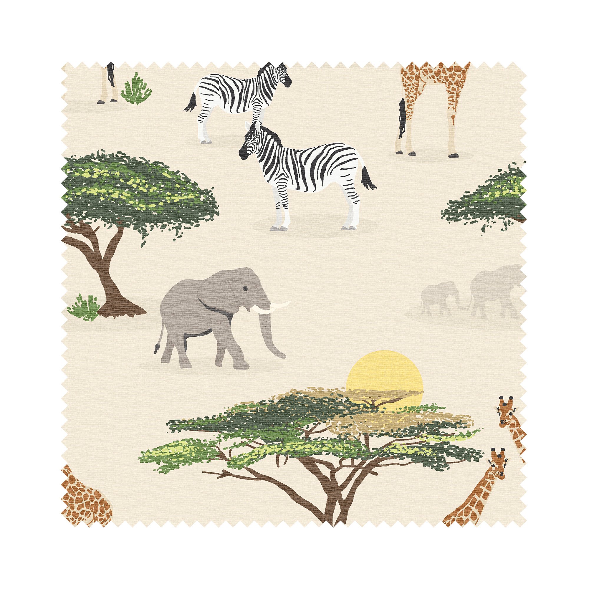 Safari Multi - Image 4