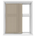 Solo Balance