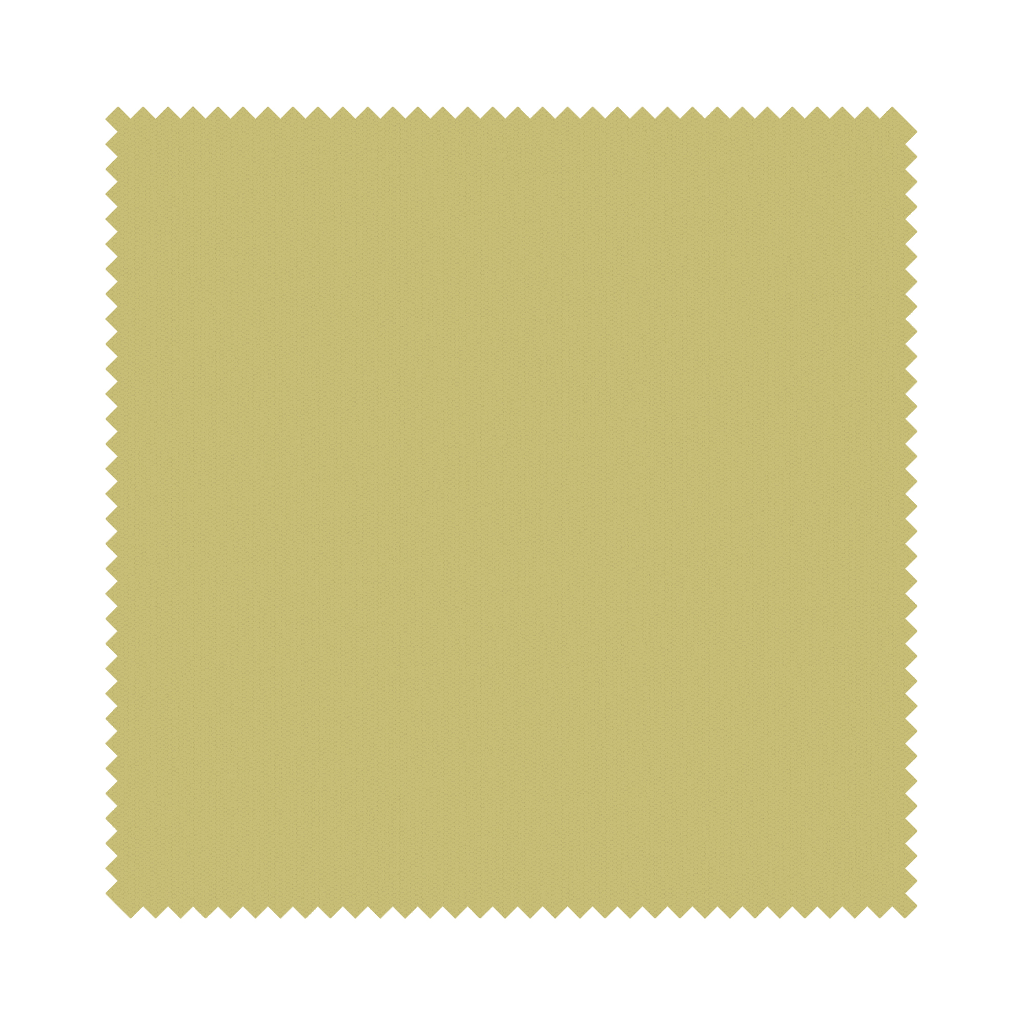 TradeChoice Blackout Green - Image 6