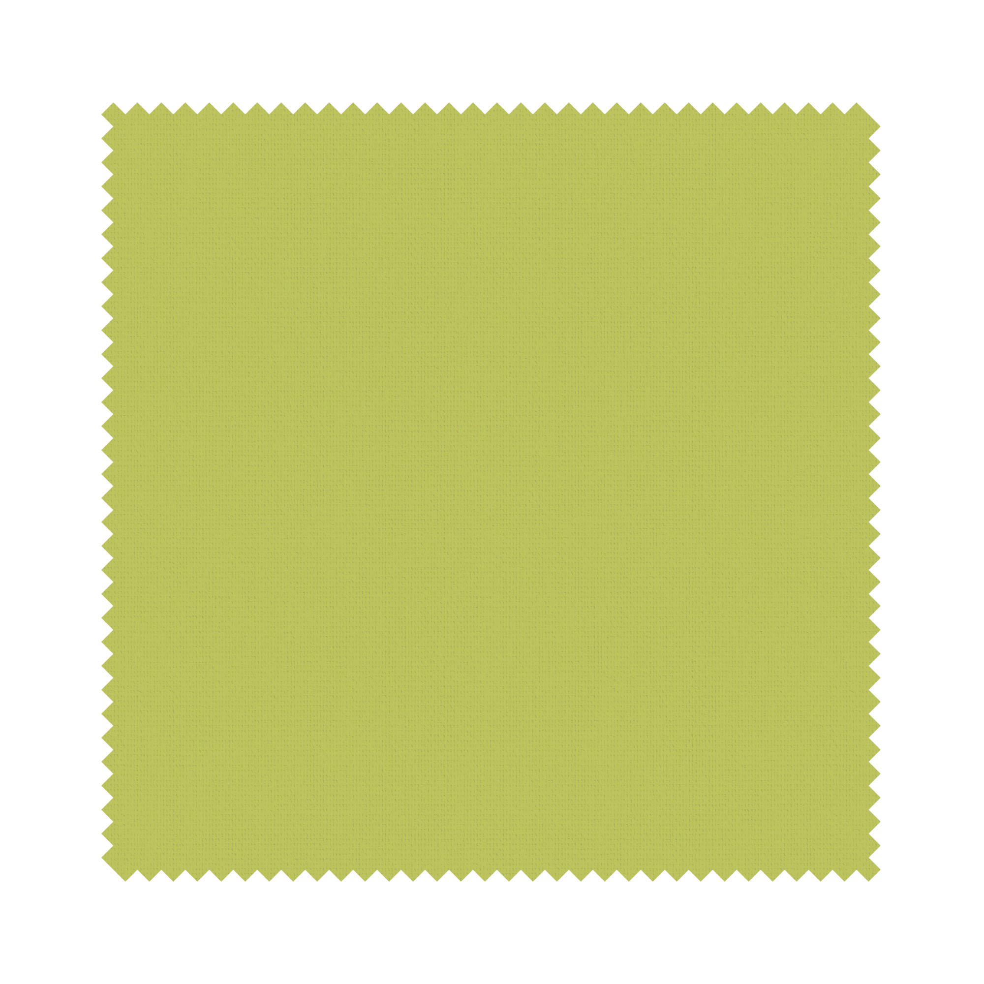 Splash Vine - Image 6