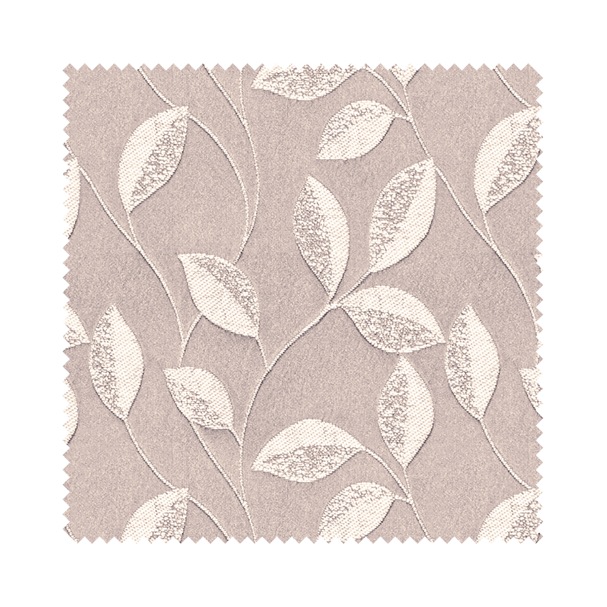 Stubbs Orchid - Image 5