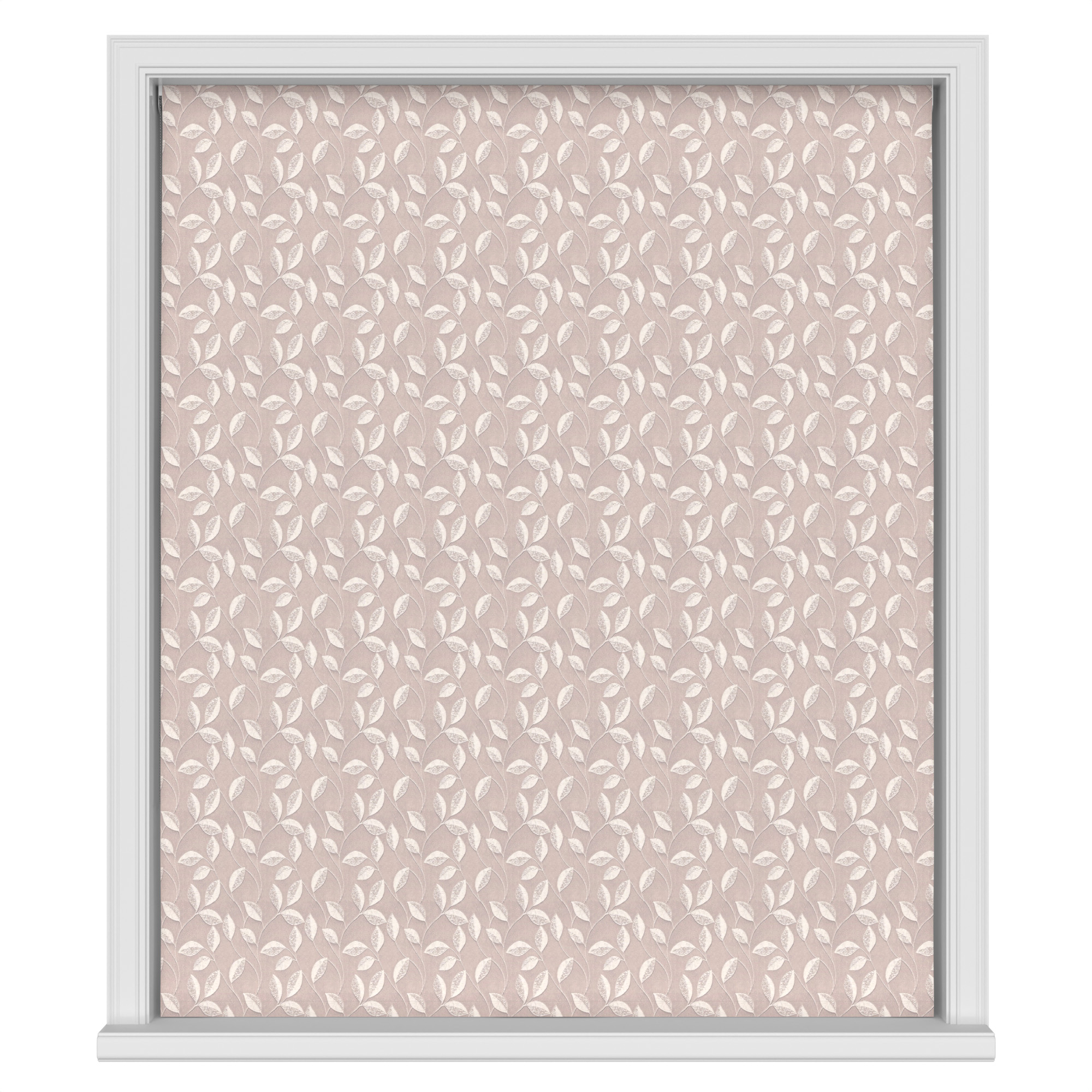 Stubbs Orchid - Image 6