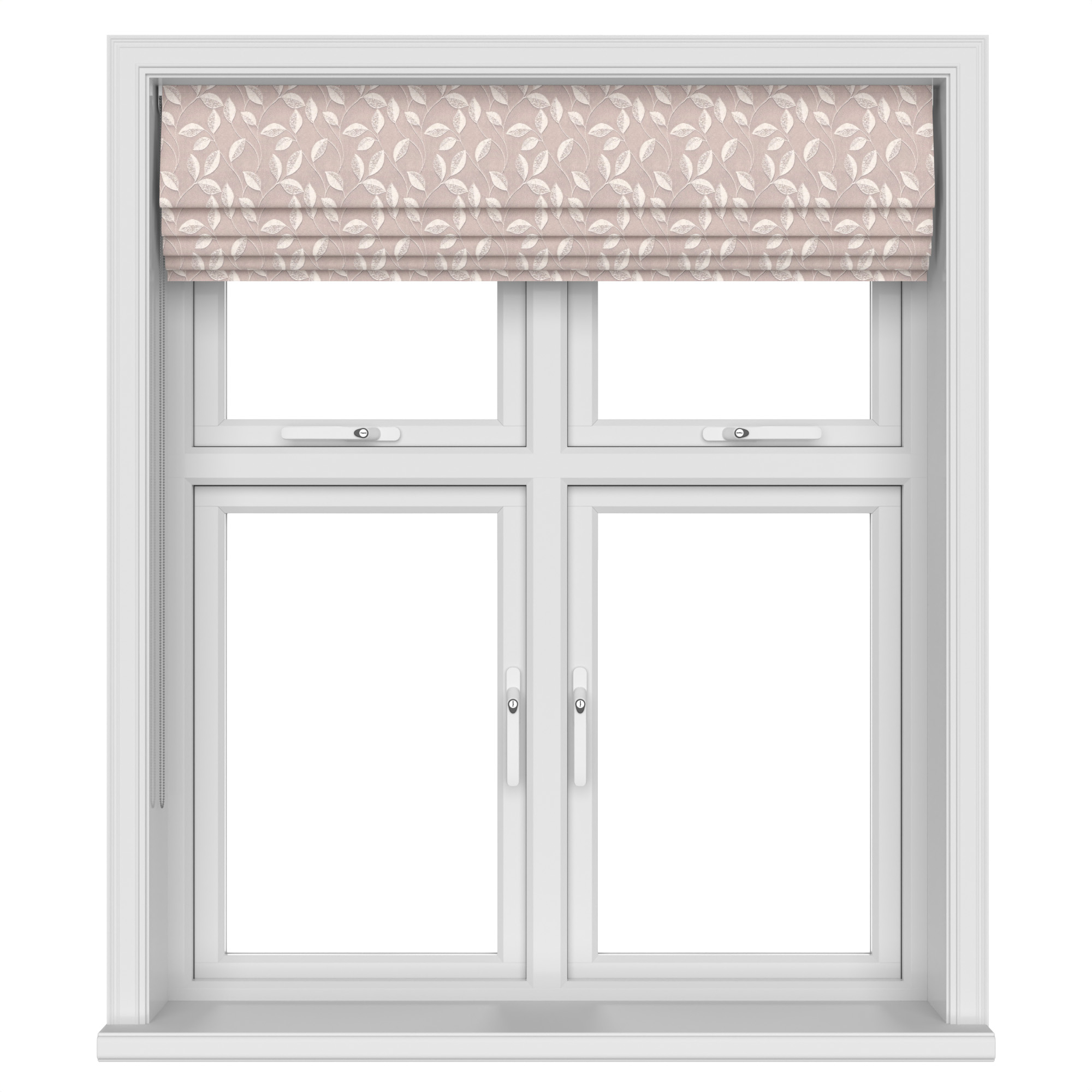 Stubbs Orchid - Image 9