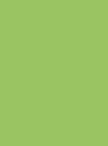 Clearance: Vitra Apple Green Replacement Slats - Image 6