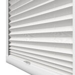 Hampton White
