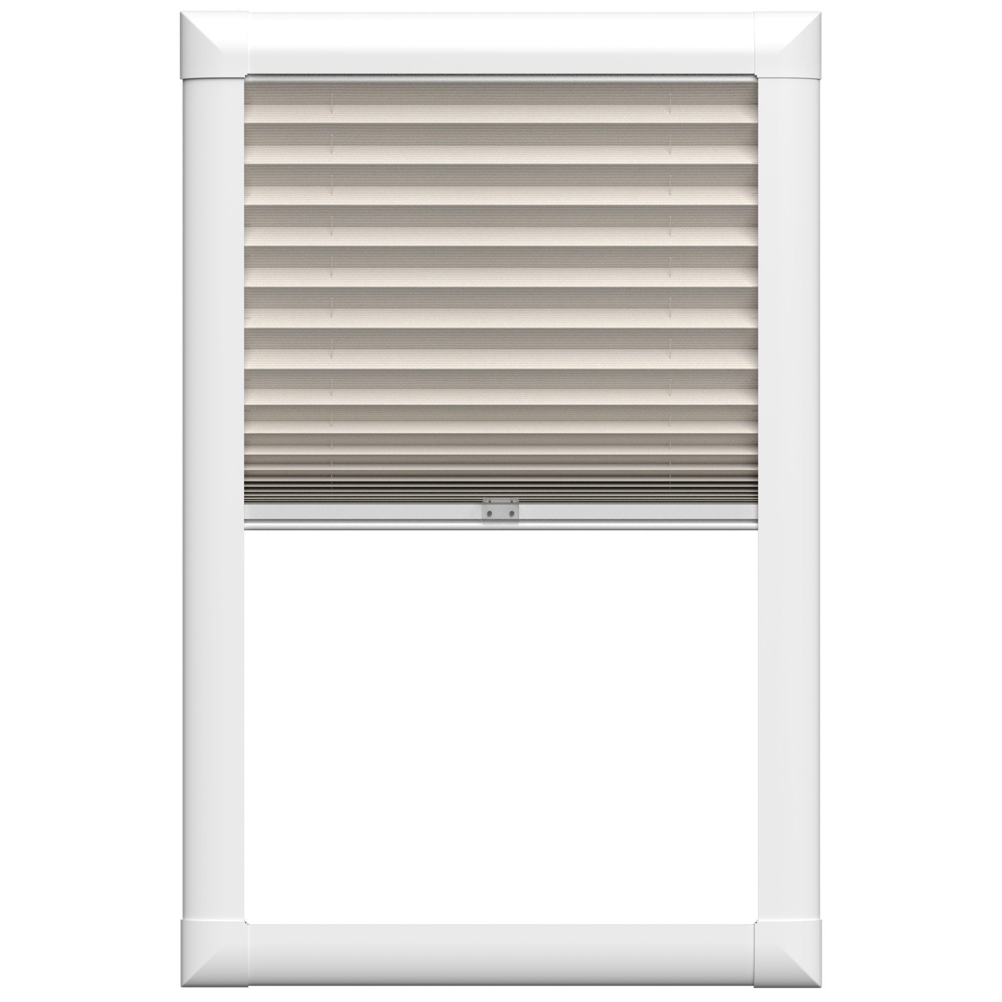 Hemp ASC Eco Biscotti - Image 2