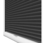 Luna Blackout Charcoal Black Perfect Fit