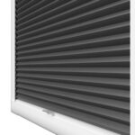 Hive Plain Black Perfect Fit