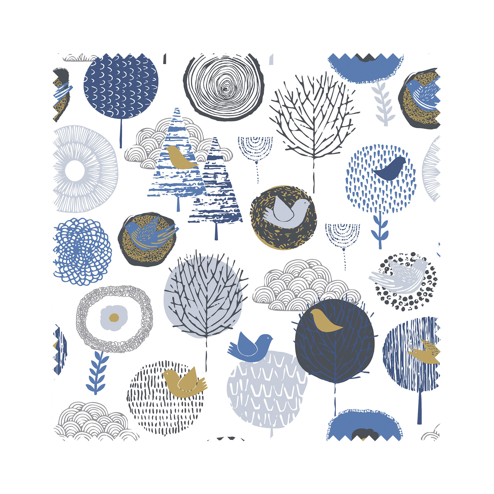 Birdsong Daybreak - Image 6