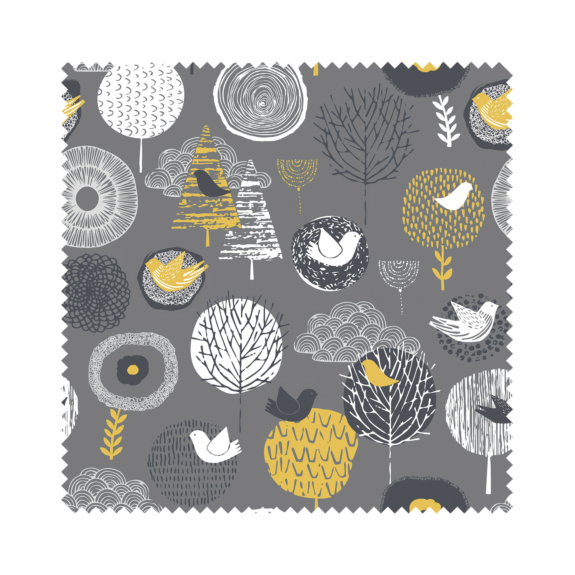 Birdsong Midnight - Image 6