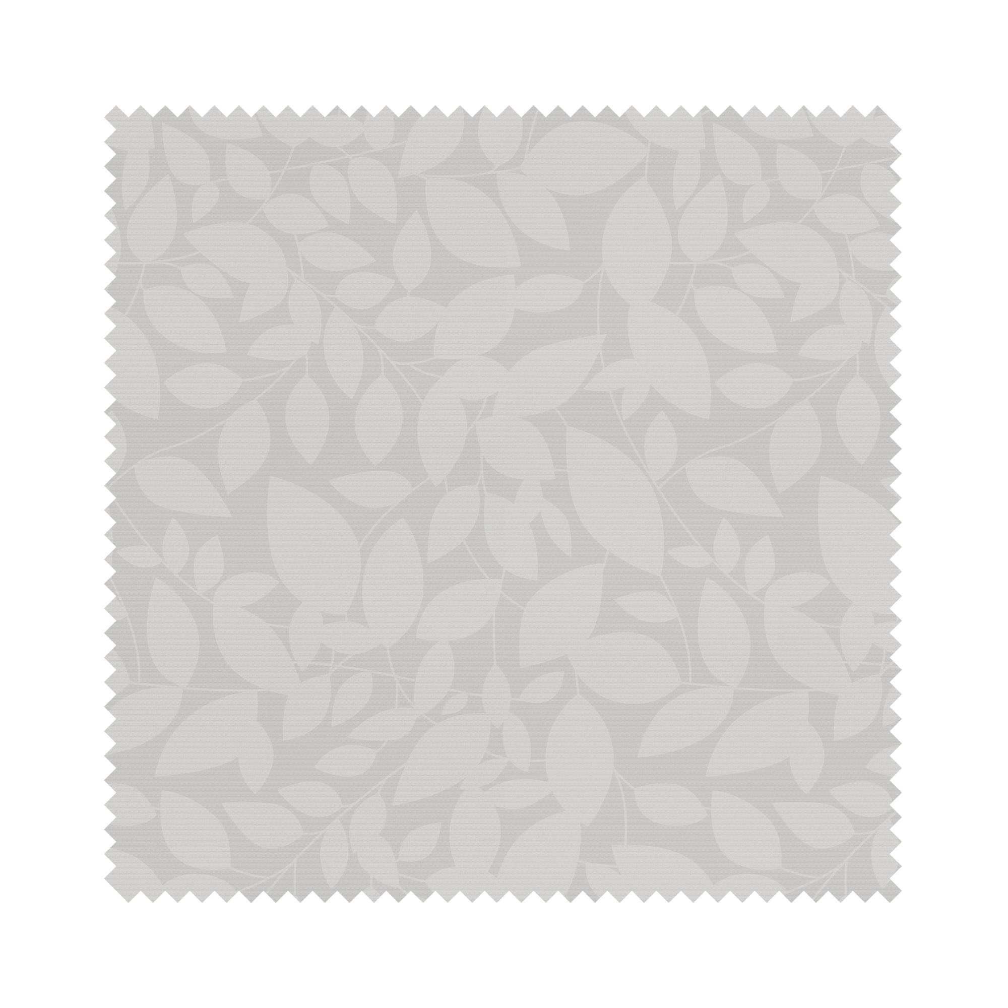 Isla Marina - Image 6