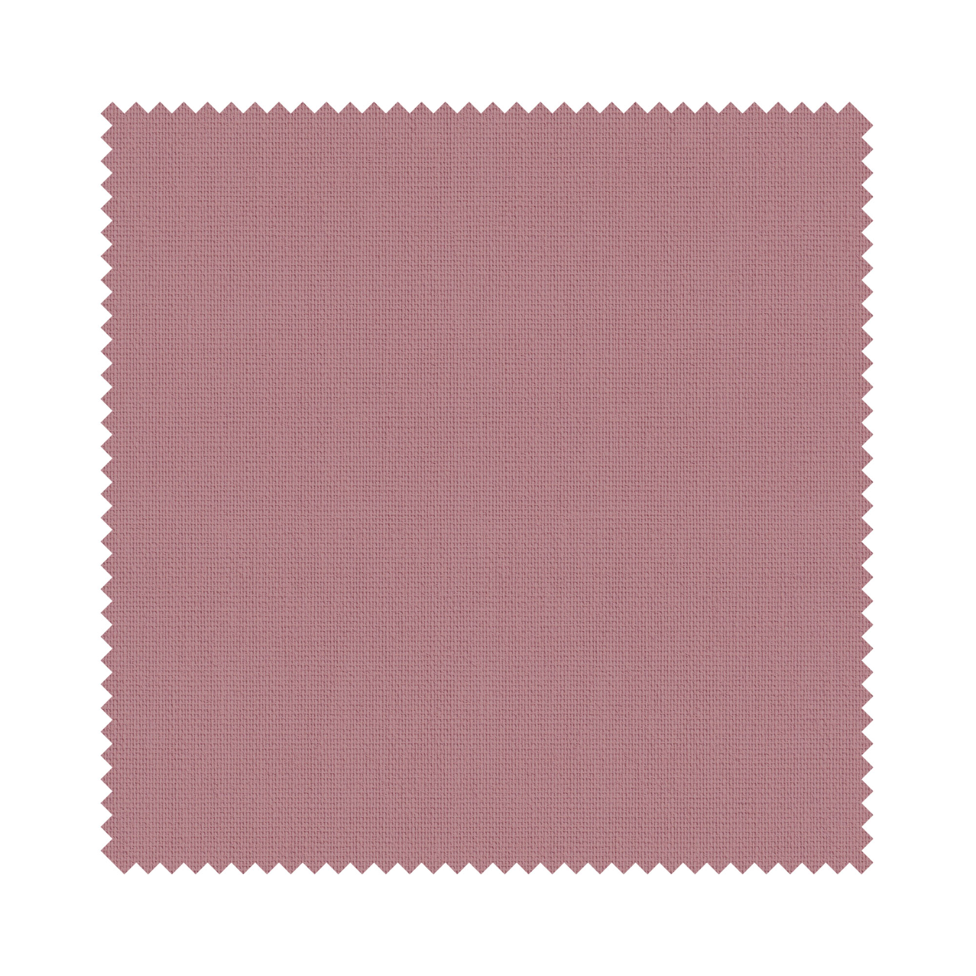 Bella Arcadia - Image 6