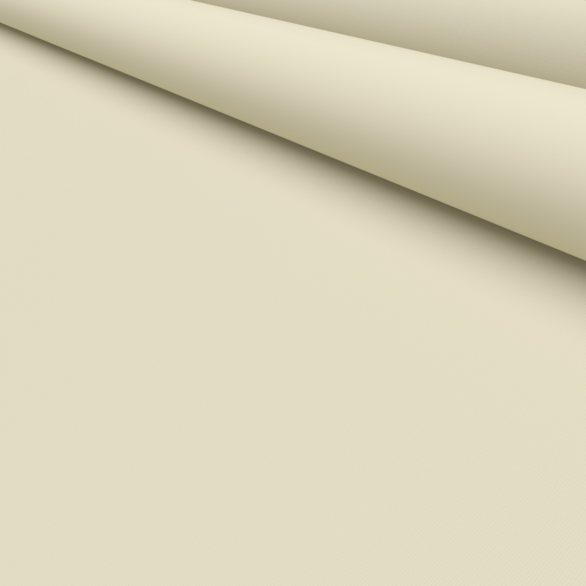 Bella Beige - Image 5