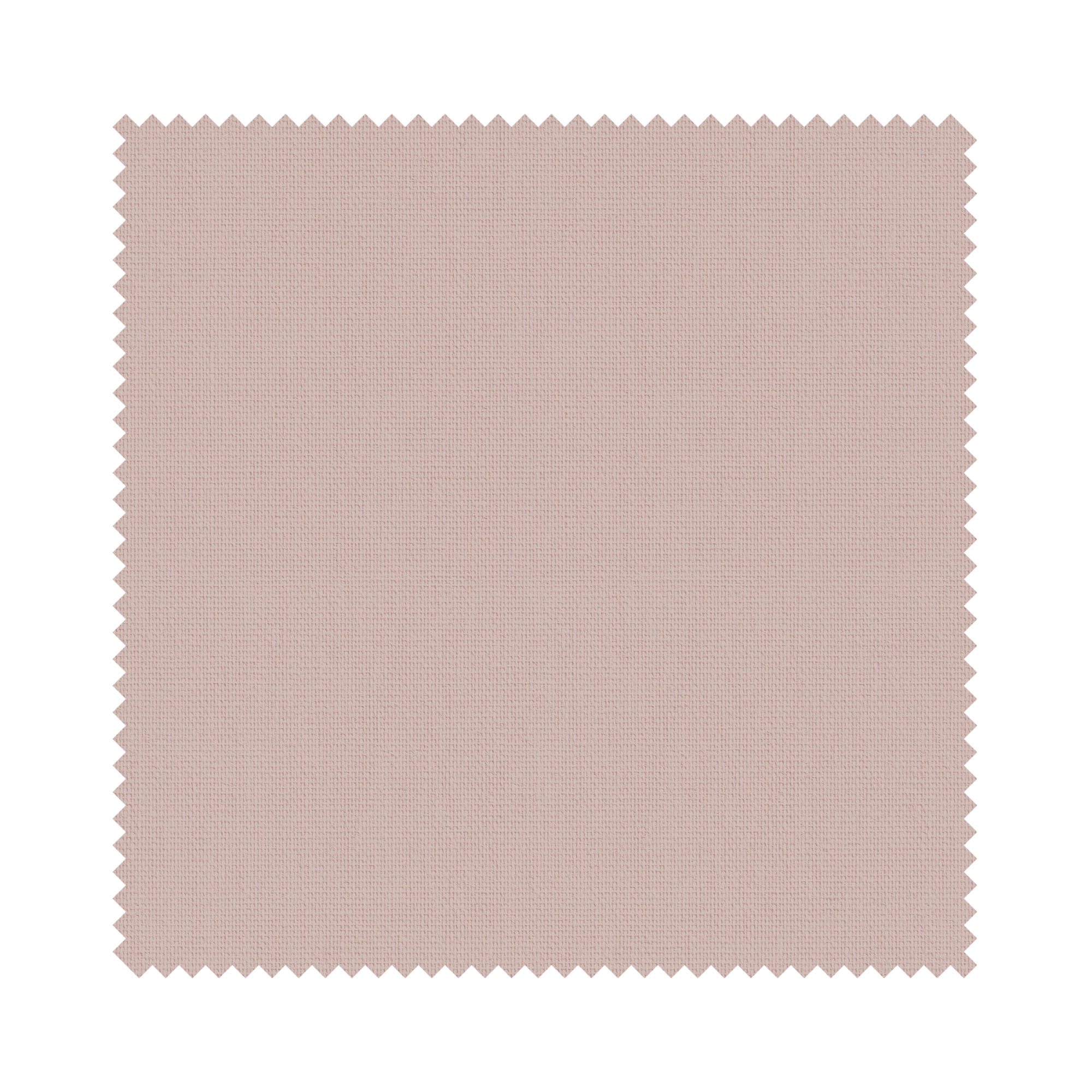 Bella Bossa Motorised - Image 6