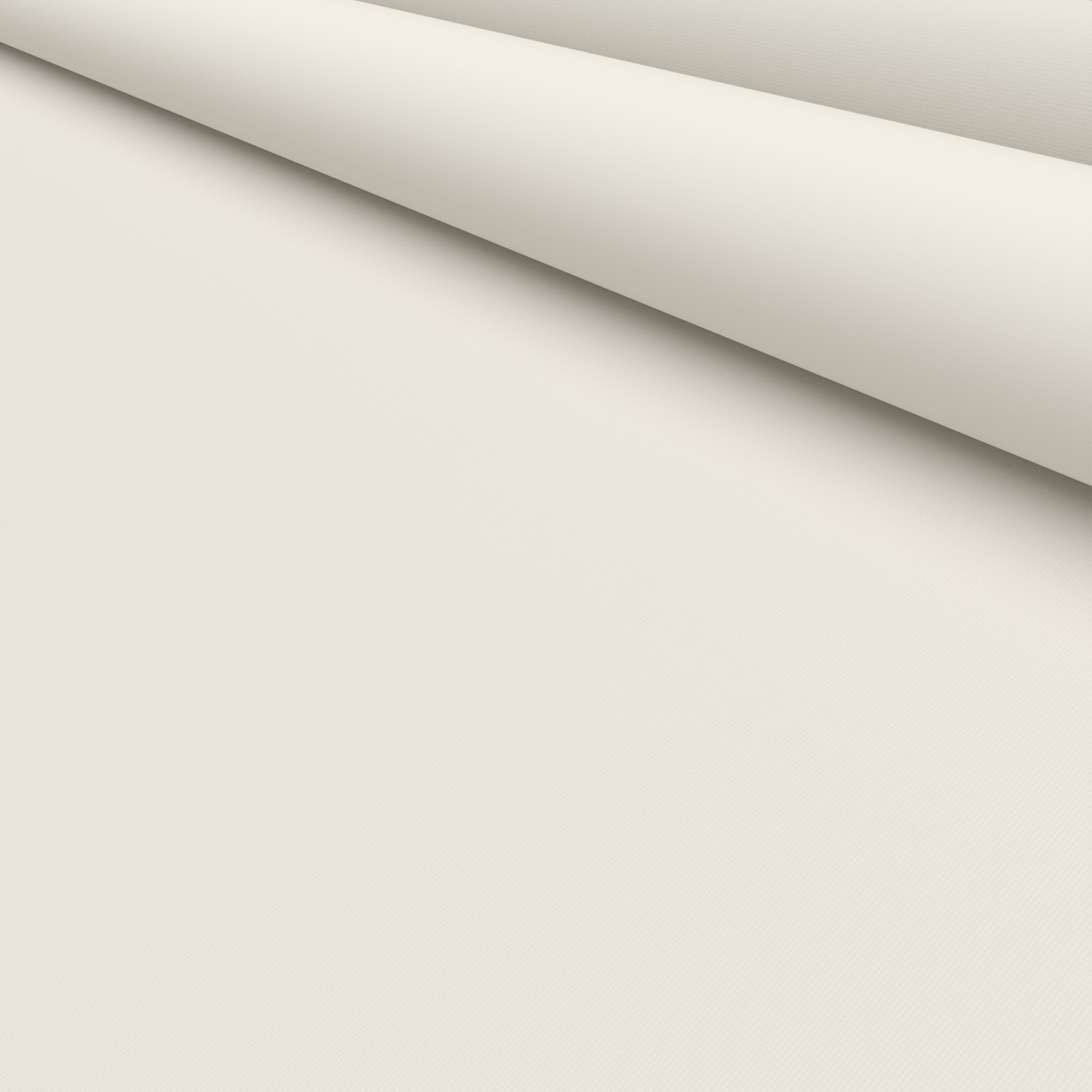 Bella Oyster - Image 5