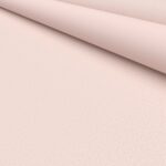 Glimpse Blush