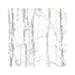 Swedish Birch Silver Cassette