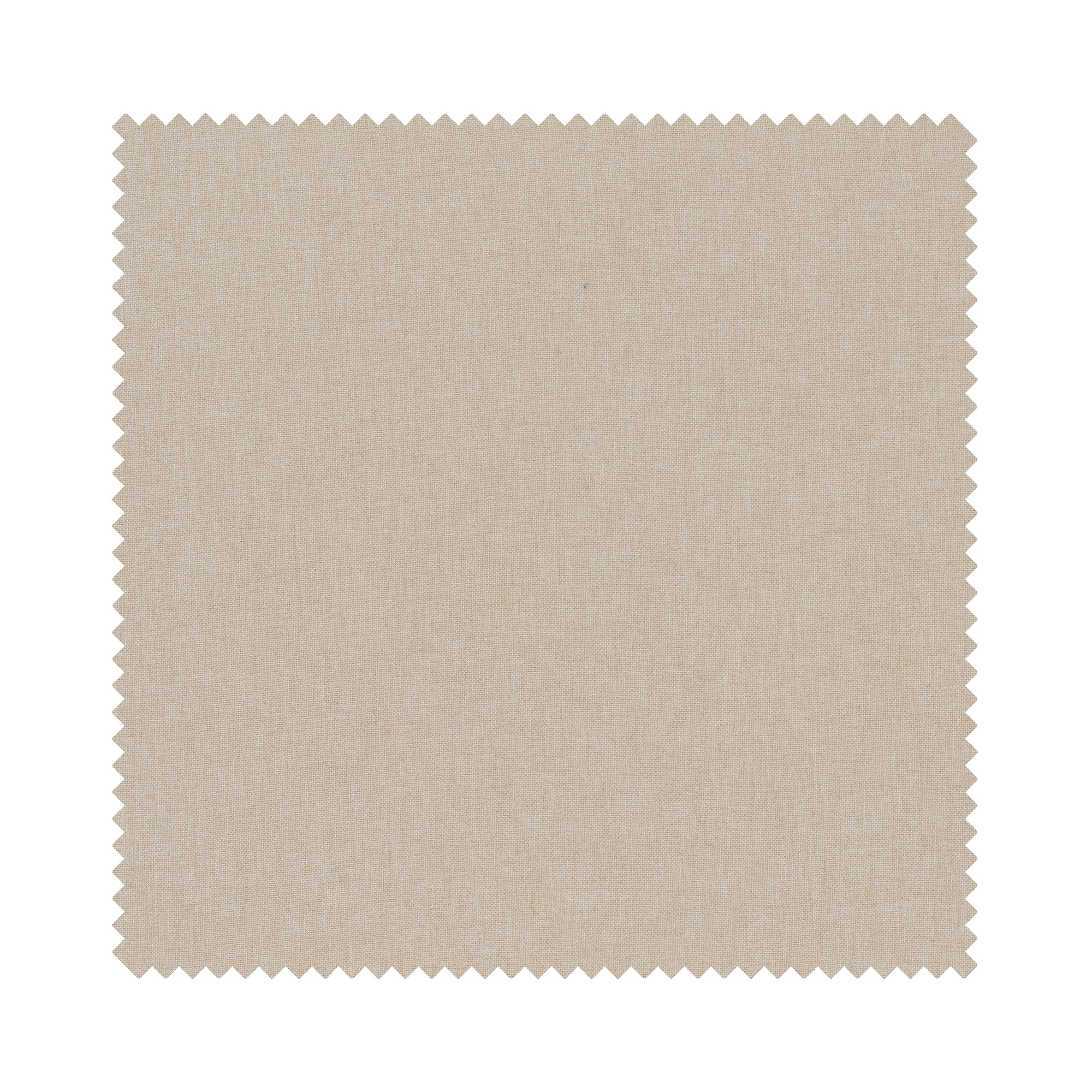 Dara Oyster Motorised - Image 6