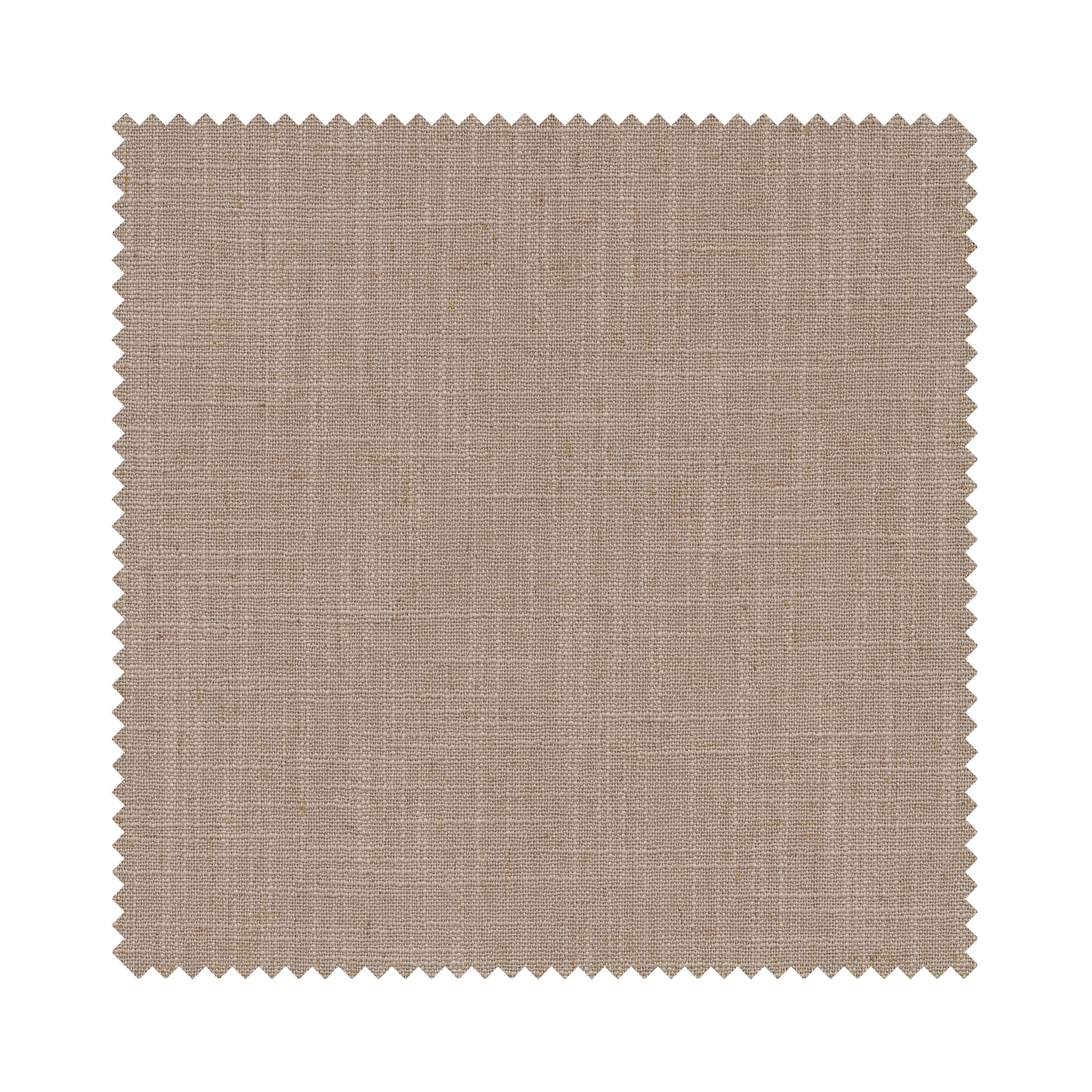 Ezra Taupe Motorised - Image 6